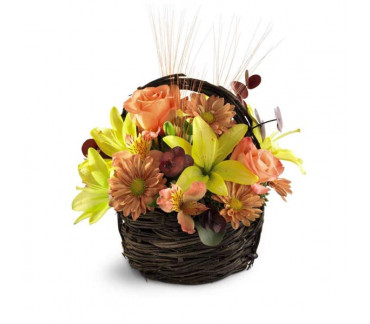 The Sensational Splendor Basket